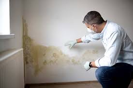 Fort Walton Beach, FL Mold Removal & Remediation Company